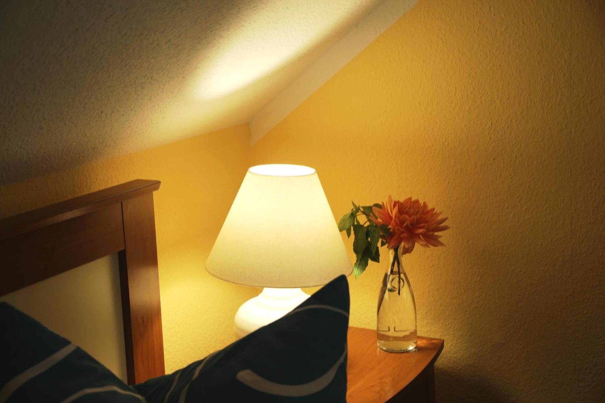 Pension Villa Irene Kurort Gohrisch Zimmer foto